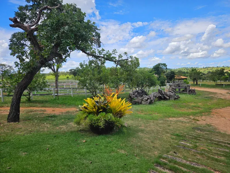 Fazenda em Cordisburgo/Minas Gerais — Ref AE2NLK — Imagem 21