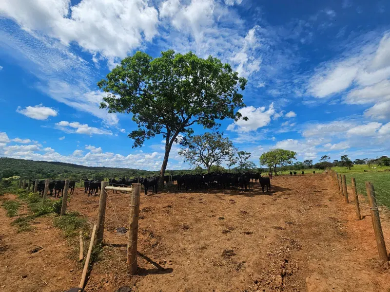 Fazenda em Cordisburgo/Minas Gerais — Ref AE2NLK — Imagem 27