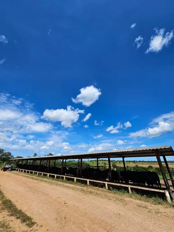 Fazenda em Cordisburgo/Minas Gerais — Ref AE2NLK — Imagem 29