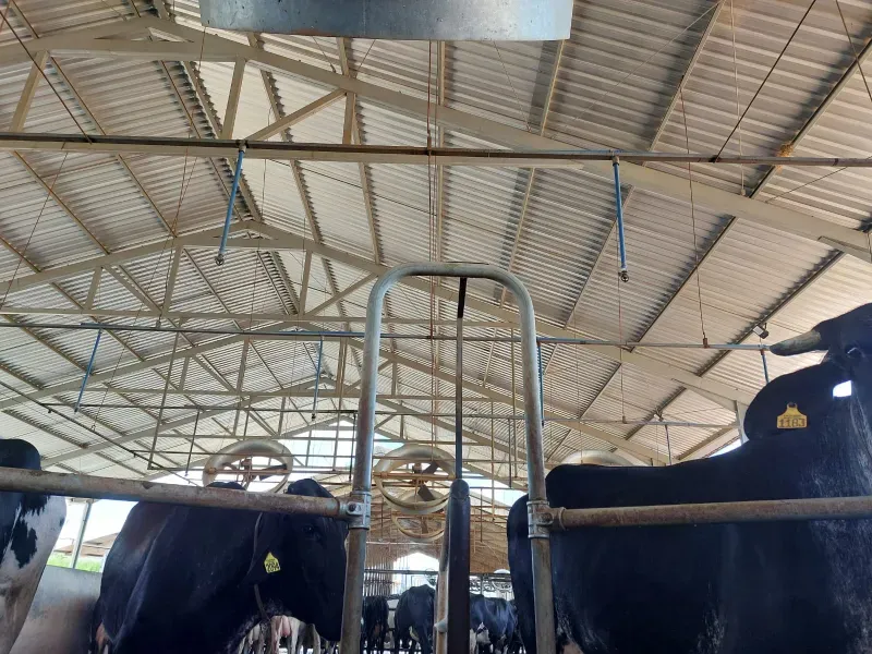 Fazenda em Cordisburgo/Minas Gerais — Ref AE2NLK — Imagem 31