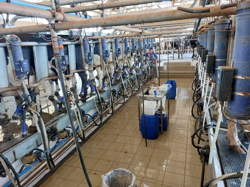 Fazenda em Cordisburgo/Minas Gerais — Ref AE2NLK — Imagem 32