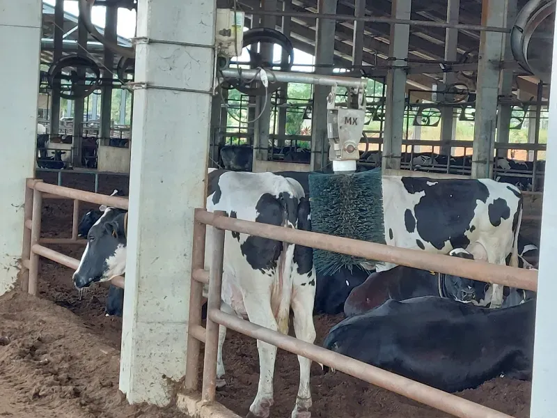 Fazenda em Cordisburgo/Minas Gerais — Ref AE2NLK — Imagem 33