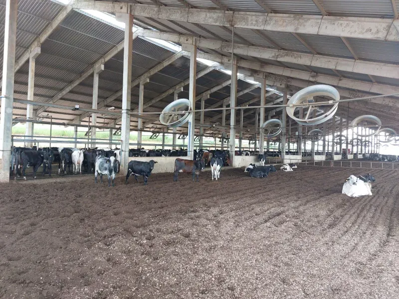 Fazenda em Cordisburgo/Minas Gerais — Ref AE2NLK — Imagem 34