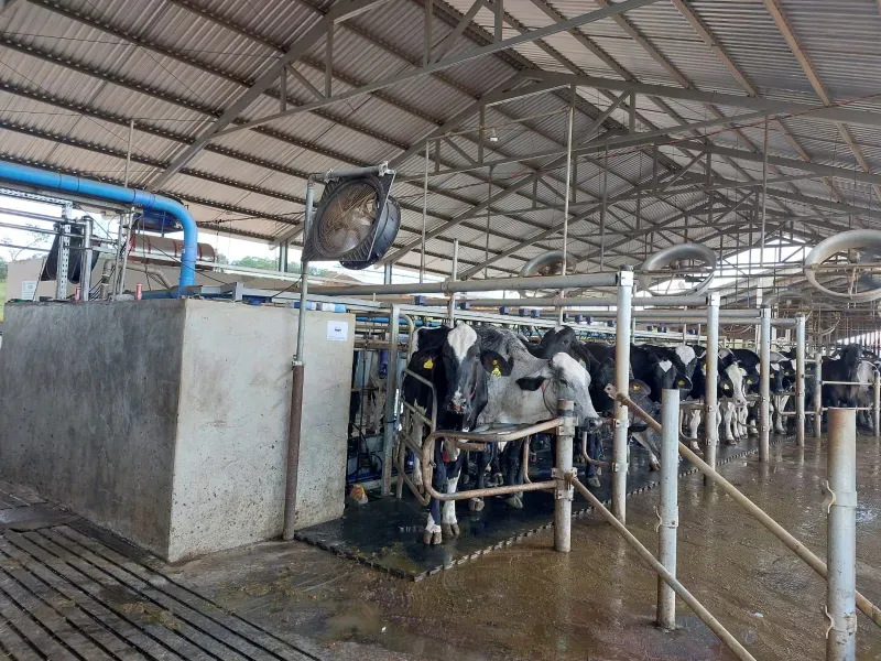 Fazenda em Cordisburgo/Minas Gerais — Ref AE2NLK — Imagem 36