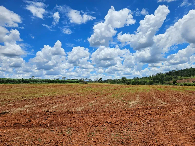 Fazenda em Cordisburgo/Minas Gerais — Ref AE2NLK — Imagem 40