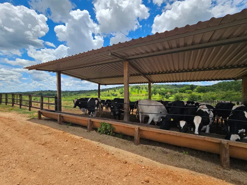 Fazenda em Cordisburgo/Minas Gerais — Ref AE2NLK — Imagem 44