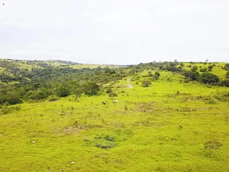 Fazenda em Corumbá de Goiás/Goiás — Ref FQJRT5 — Imagem 4