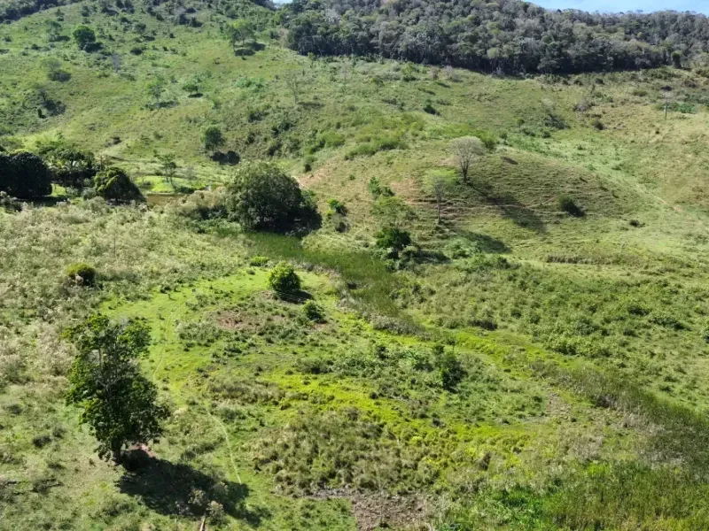 Fazenda em Malacacheta/Minas Gerais — Ref CY1XD0 — Imagem 3