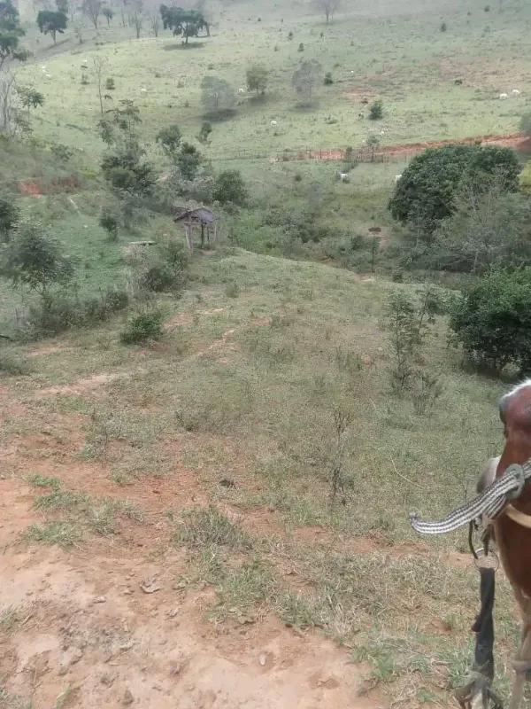 Sítio em Almenara/Minas Gerais — Ref SFYCUM — Imagem 4