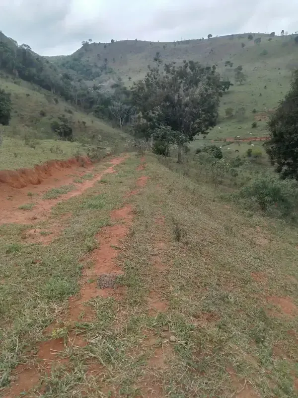 Sítio em Almenara/Minas Gerais — Ref SFYCUM — Imagem 6