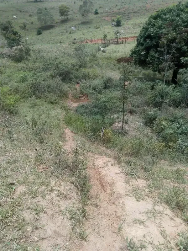 Sítio em Almenara/Minas Gerais — Ref SFYCUM — Imagem 9