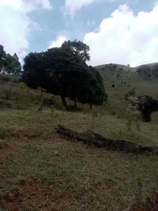 Sítio em Almenara/Minas Gerais — Ref SFYCUM — Imagem 12