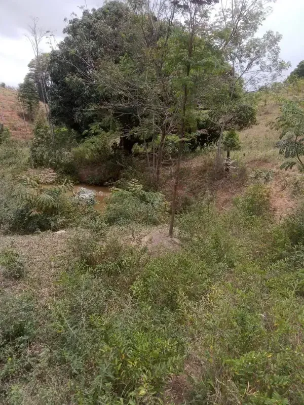 Sítio em Almenara/Minas Gerais — Ref SFYCUM — Imagem 10