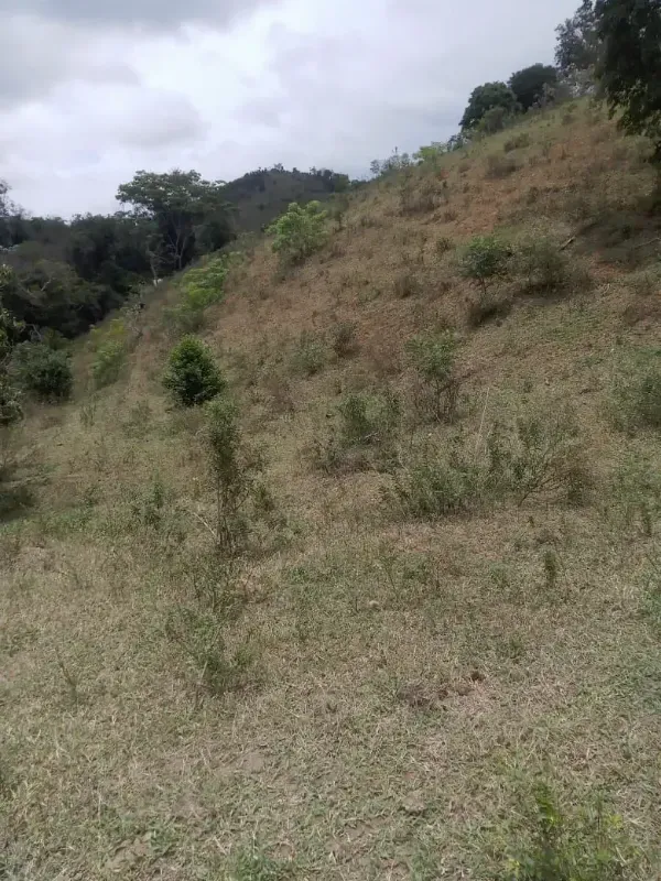 Sítio em Almenara/Minas Gerais — Ref SFYCUM — Imagem 11