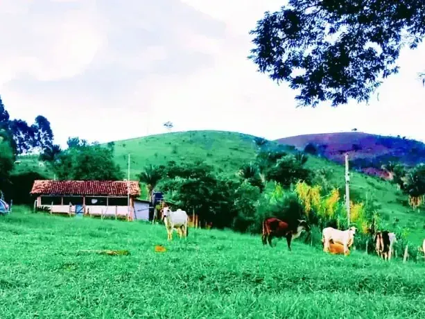 Sítio em Almenara/Minas Gerais — Ref SFYCUM — Imagem 2