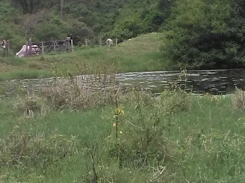 Fazenda em Mundo Novo/Bahia — Ref 3XTEAX — Imagem 2