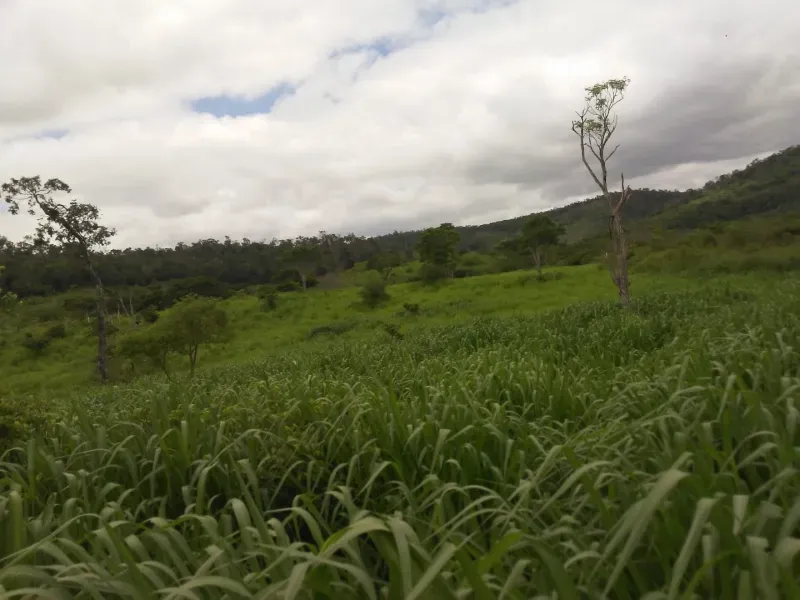 Fazenda em Mundo Novo/Bahia — Ref 3XTEAX — Imagem 3
