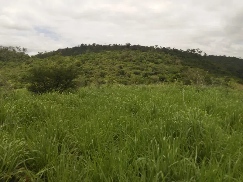 Fazenda em Mundo Novo/Bahia — Ref 3XTEAX — Imagem 5