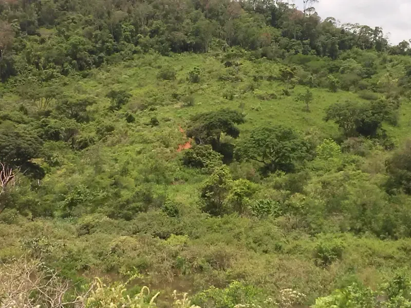 Fazenda em Mundo Novo/Bahia — Ref 3XTEAX — Imagem 7