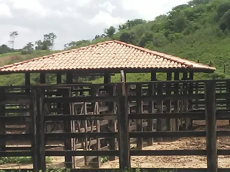 Fazenda em Mundo Novo/Bahia — Ref 3XTEAX — Imagem 10