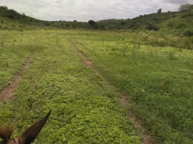 Fazenda em Mundo Novo/Bahia — Ref 3XTEAX — Imagem 11