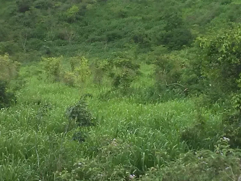 Fazenda em Mundo Novo/Bahia — Ref 3XTEAX — Imagem 13