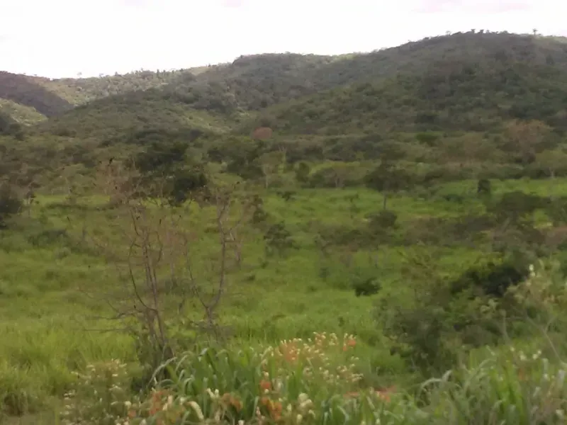 Fazenda em Mundo Novo/Bahia — Ref 3XTEAX — Imagem 15