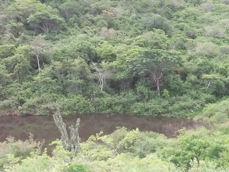 Fazenda em Mundo Novo/Bahia — Ref 3XTEAX — Imagem 17