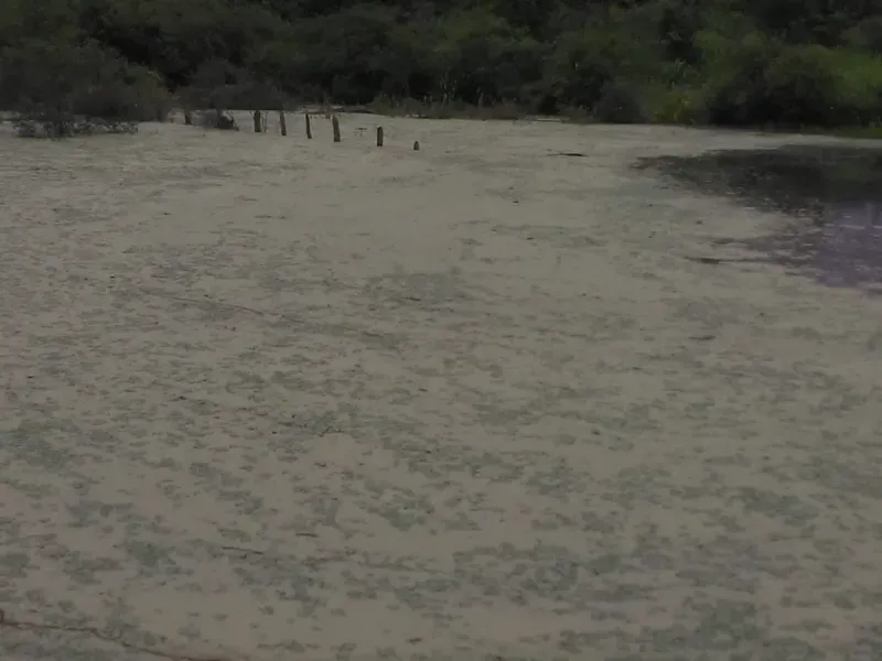 Fazenda em Mundo Novo/Bahia — Ref 3XTEAX — Imagem 19