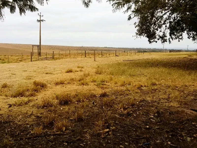 Fazenda em Itiquira/Mato Grosso — Ref UQAP6P — Imagem 2