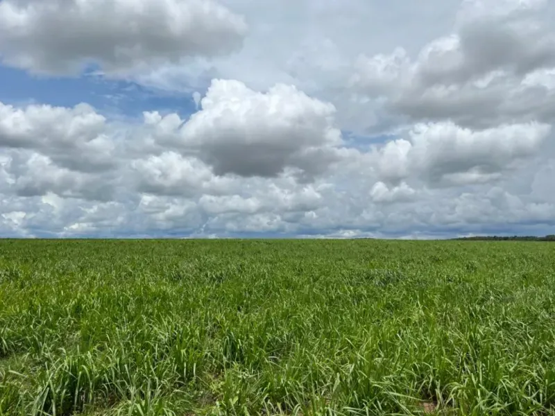 Fazenda em Itiquira/Mato Grosso — Ref UQAP6P — Imagem 8
