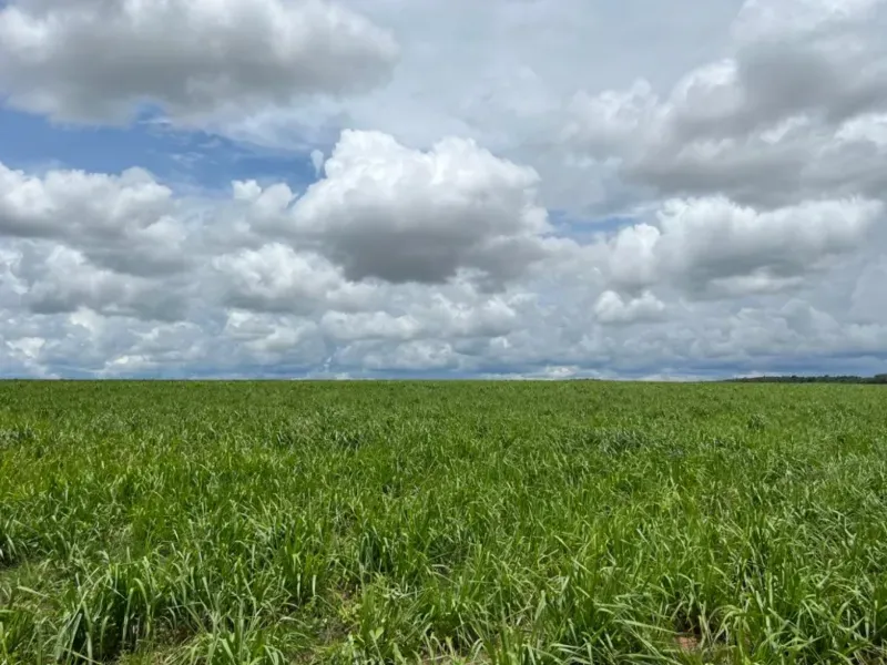 Fazenda em Itiquira/Mato Grosso — Ref UQAP6P — Imagem 9