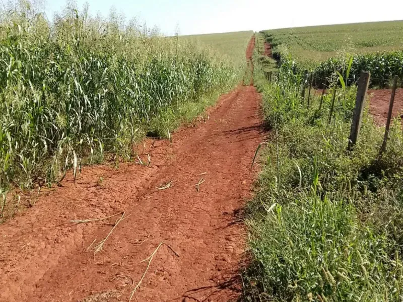 Fazenda em Itiquira/Mato Grosso — Ref UQAP6P — Imagem 16