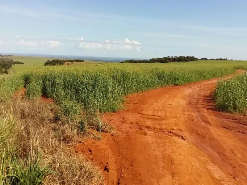 Fazenda em Itiquira/Mato Grosso — Ref UQAP6P — Imagem 17