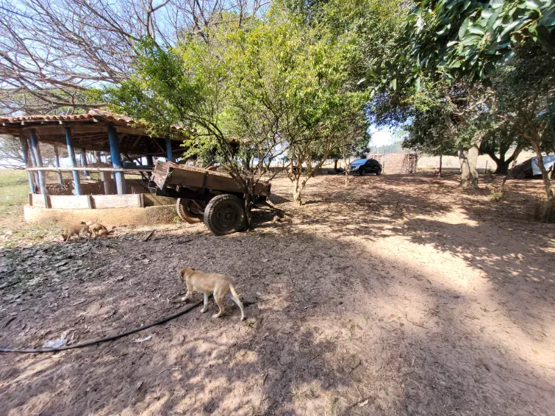 Fazenda em São Pedro/São Paulo — Ref OUA47N — Imagem 2