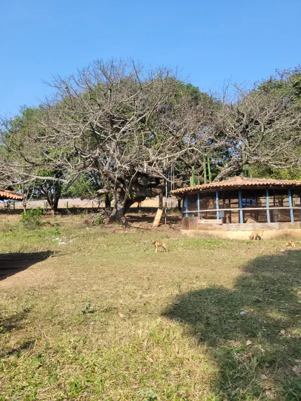 Fazenda em São Pedro/São Paulo — Ref OUA47N — Imagem 10