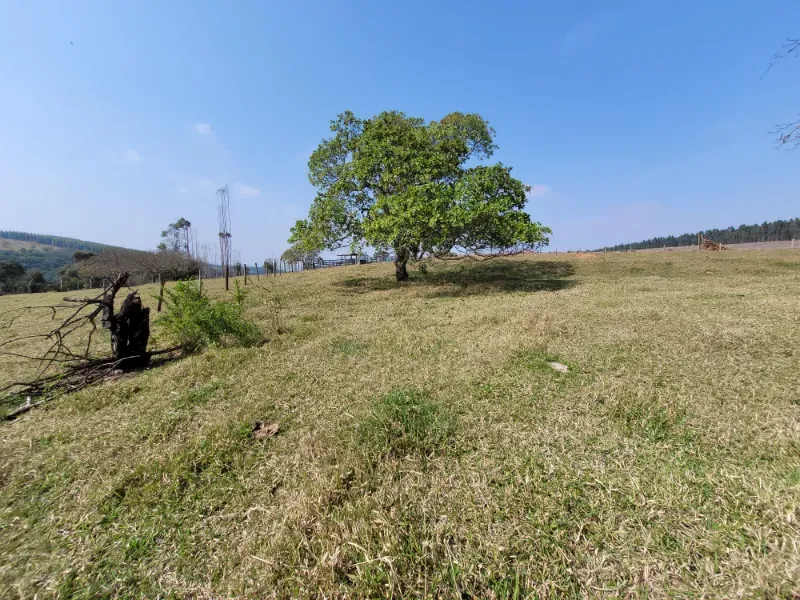 Fazenda em São Pedro/São Paulo — Ref OUA47N — Imagem 25