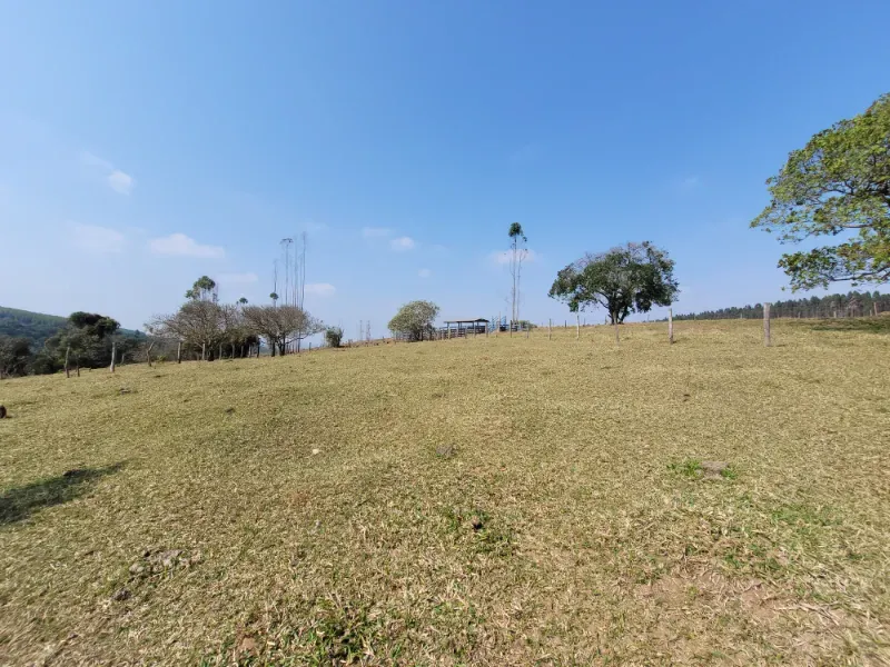 Fazenda em São Pedro/São Paulo — Ref OUA47N — Imagem 30