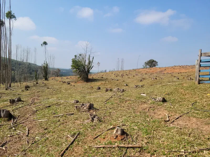 Fazenda em São Pedro/São Paulo — Ref OUA47N — Imagem 37
