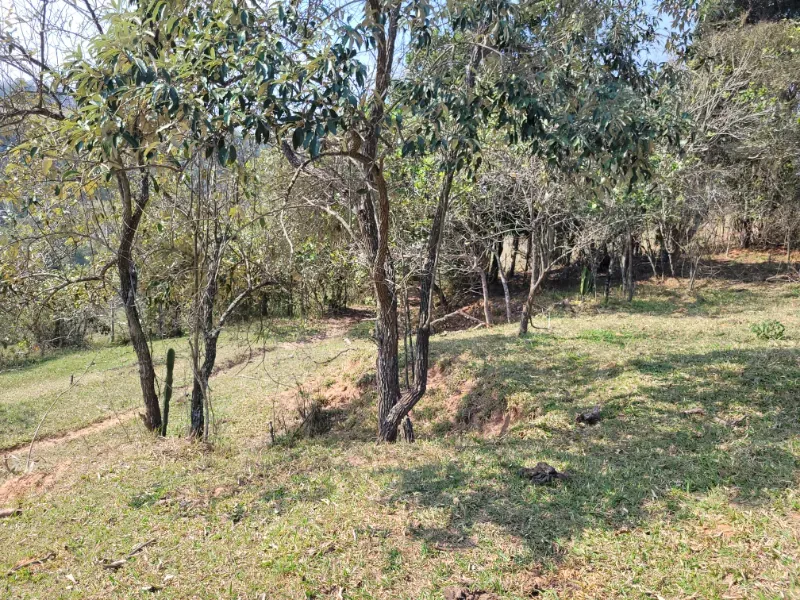 Fazenda em São Pedro/São Paulo — Ref OUA47N — Imagem 40