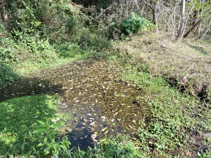 Fazenda em São Pedro/São Paulo — Ref OUA47N — Imagem 60