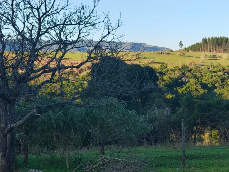 Fazenda em São Pedro/São Paulo — Ref OUA47N — Imagem 93