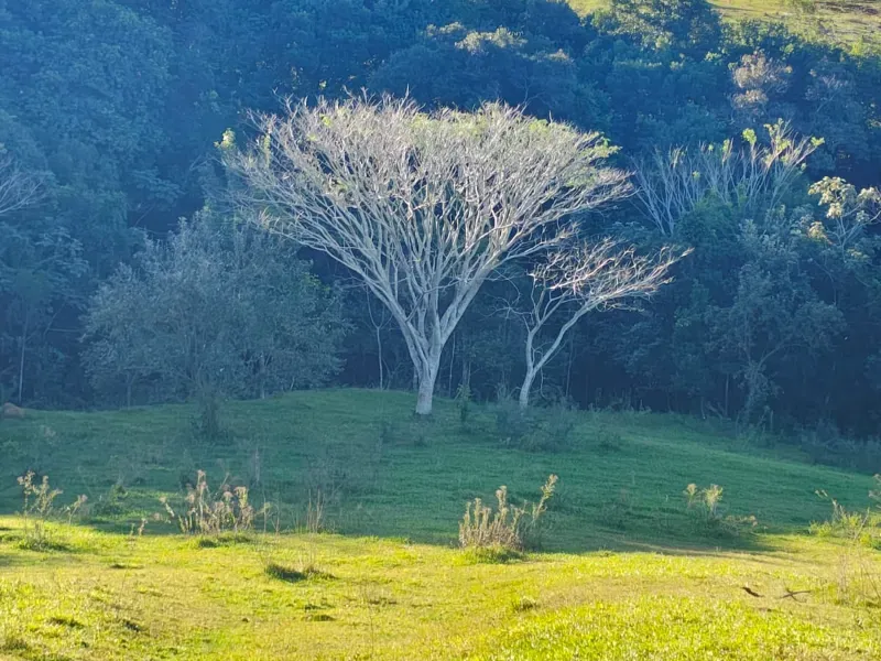 Fazenda em São Pedro/São Paulo — Ref OUA47N — Imagem 100