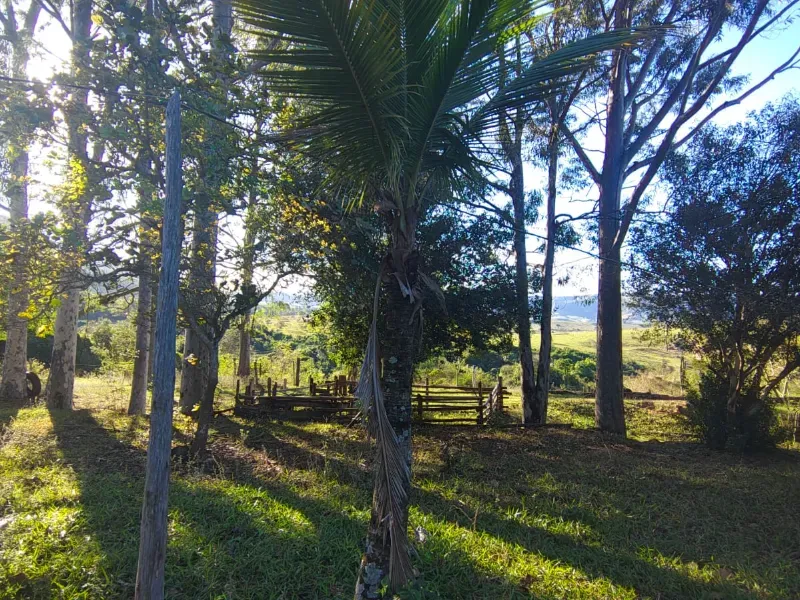 Fazenda em São Pedro/São Paulo — Ref OUA47N — Imagem 108