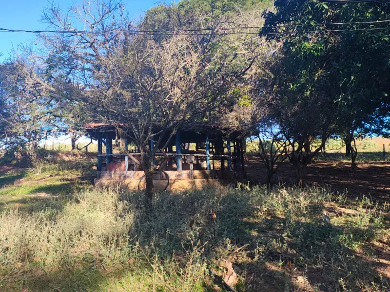 Fazenda em São Pedro/São Paulo — Ref OUA47N — Imagem 111