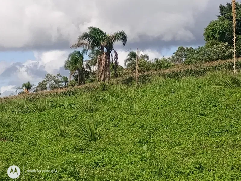 Fazenda em Piedade/São Paulo — Ref YEW1KS — Imagem 19