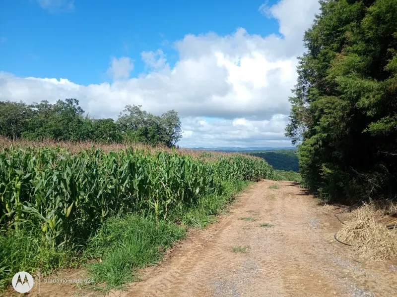 Fazenda em Piedade/São Paulo — Ref YEW1KS — Imagem 21