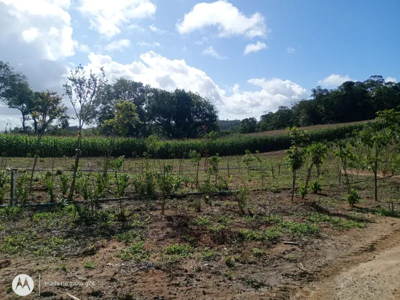 Fazenda em Piedade/São Paulo — Ref YEW1KS — Imagem 22