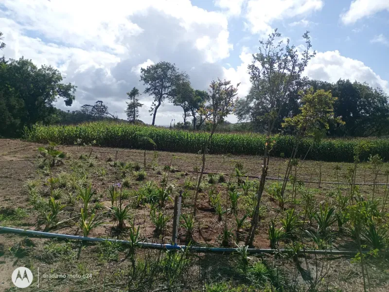 Fazenda em Piedade/São Paulo — Ref YEW1KS — Imagem 23