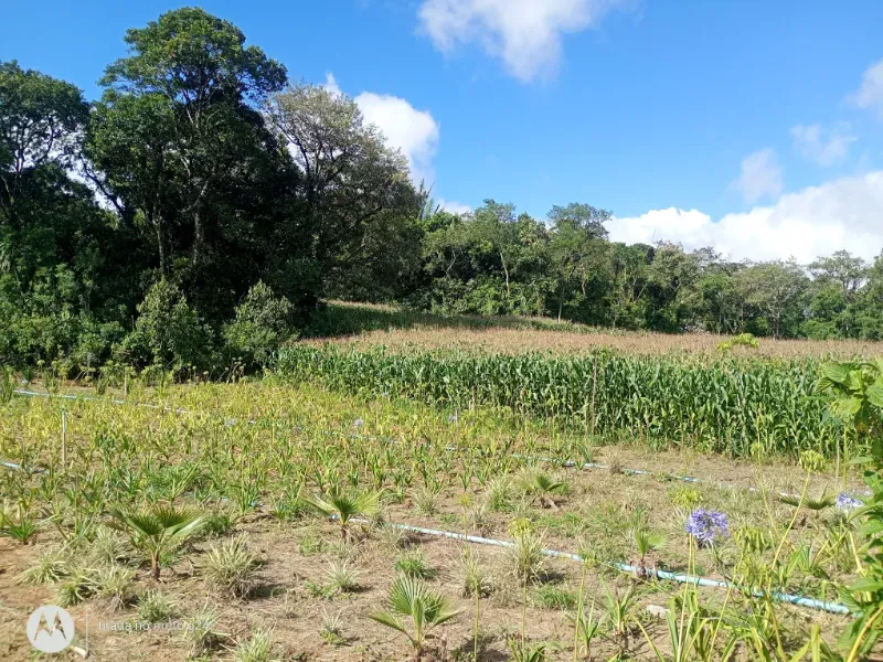 Fazenda em Piedade/São Paulo — Ref YEW1KS — Imagem 24